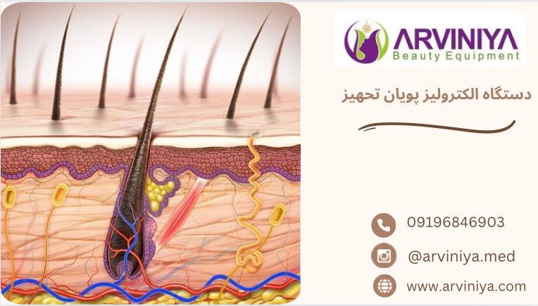 قیمت دستگاه الکترولیز پویان تجهیز